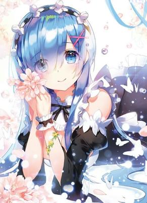 蕾姆 動(dòng)漫世界中的深情守護(hù)者