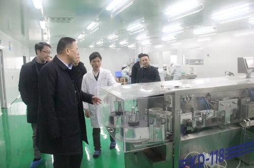 瀏陽(yáng)經(jīng)開(kāi)區(qū)黨工委副書(shū)記談文昌深入調(diào)研道和生物制藥廠，并強(qiáng)調(diào)以產(chǎn)教融合賦能長(zhǎng)沙教育咨詢發(fā)展